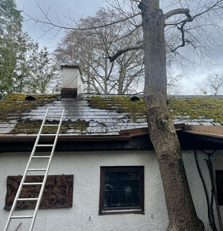 Projekt – MS Dienstleistungen 18