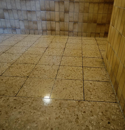 Projekt – MS Dienstleistungen 6