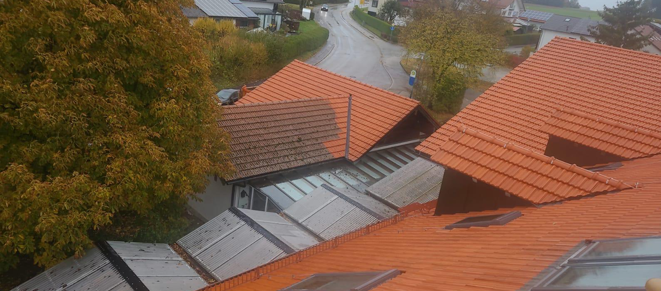 MS Dienstleistungen Über uns