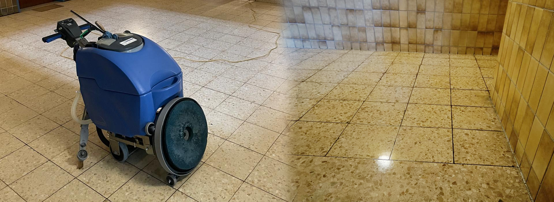 MS Dienstleistungen Detail